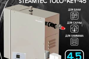 STEAMTEC TOLO-45 KEY - 4.5 кВт, 220/380 В